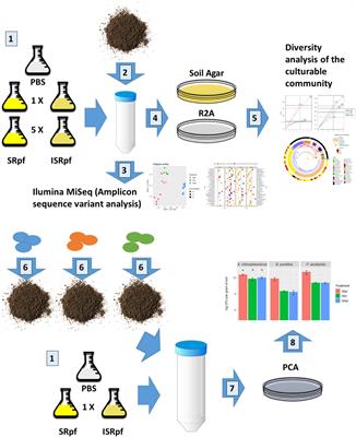 Exploring the Potential of Micrococcus luteus Culture Supernatant With Resuscitation-Promoting Factor for Enhancing the Culturability of Soil Bacteria